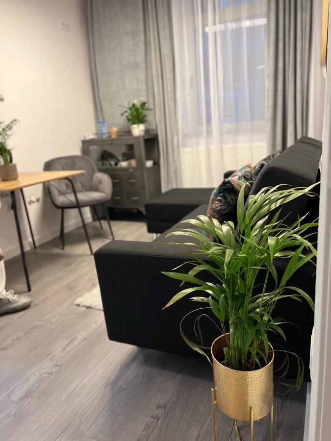 Musai Apartment Brasov Exterior photo